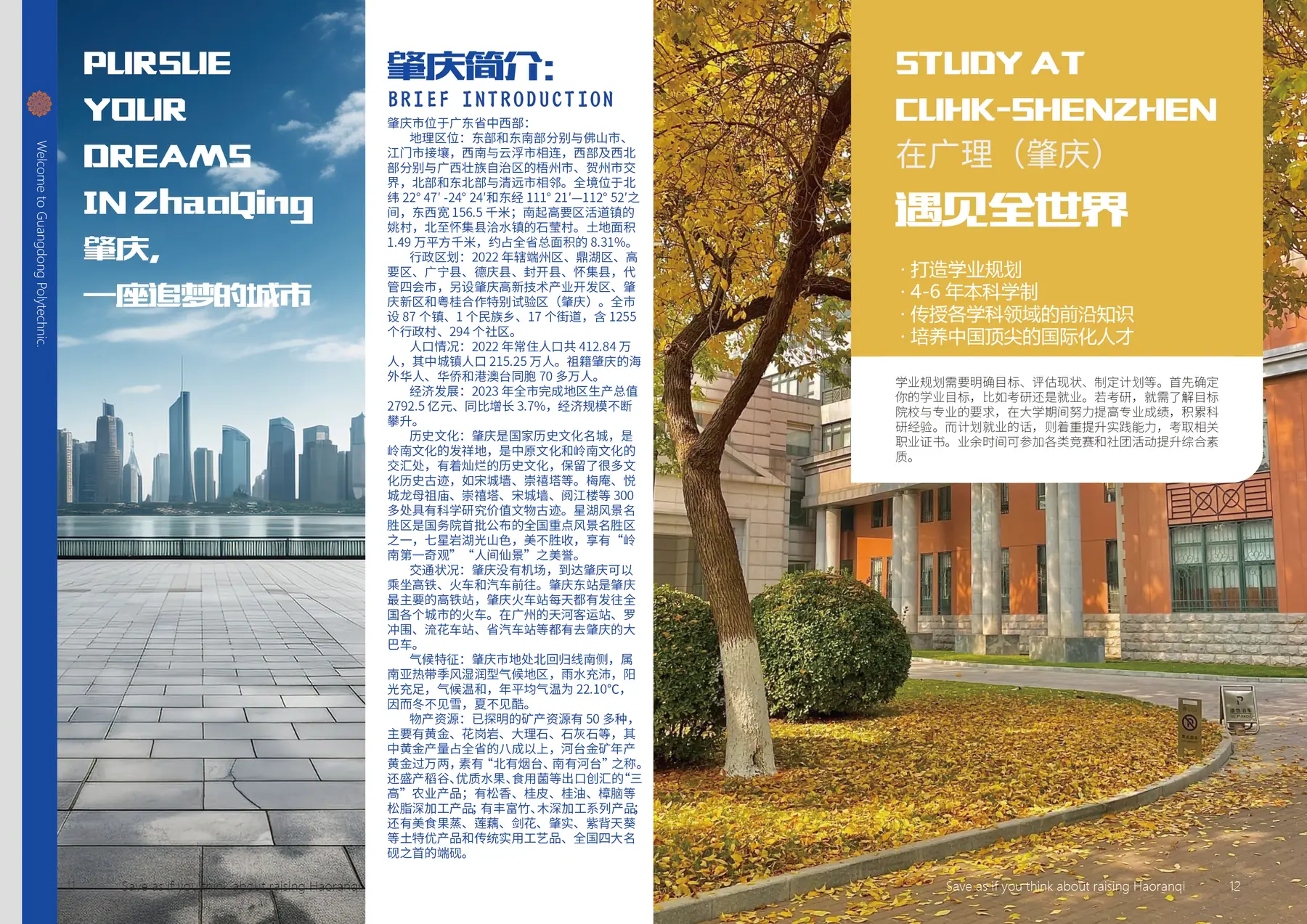 内容结构与连续版式作品图 6