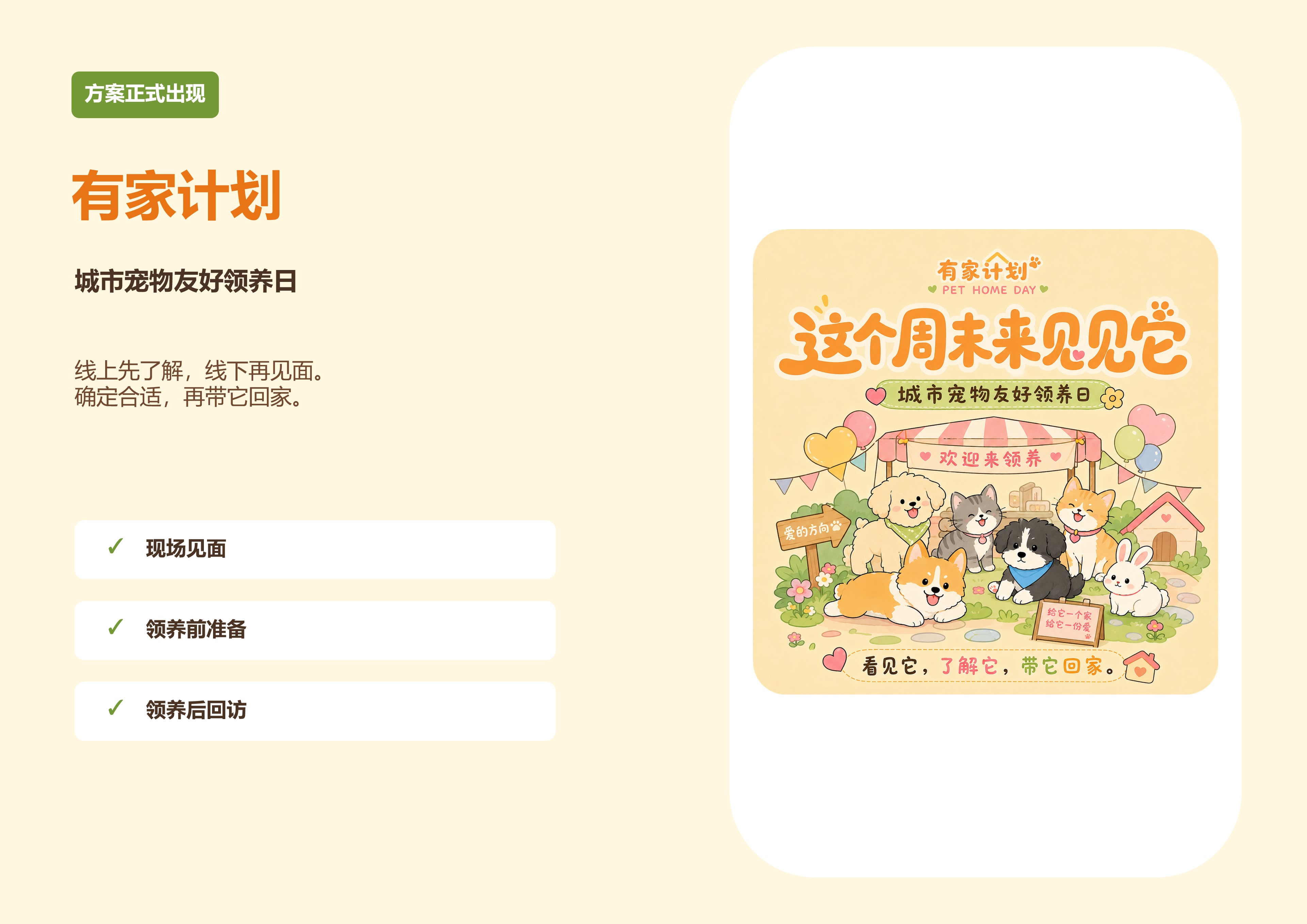 有家计划提报方案第5页