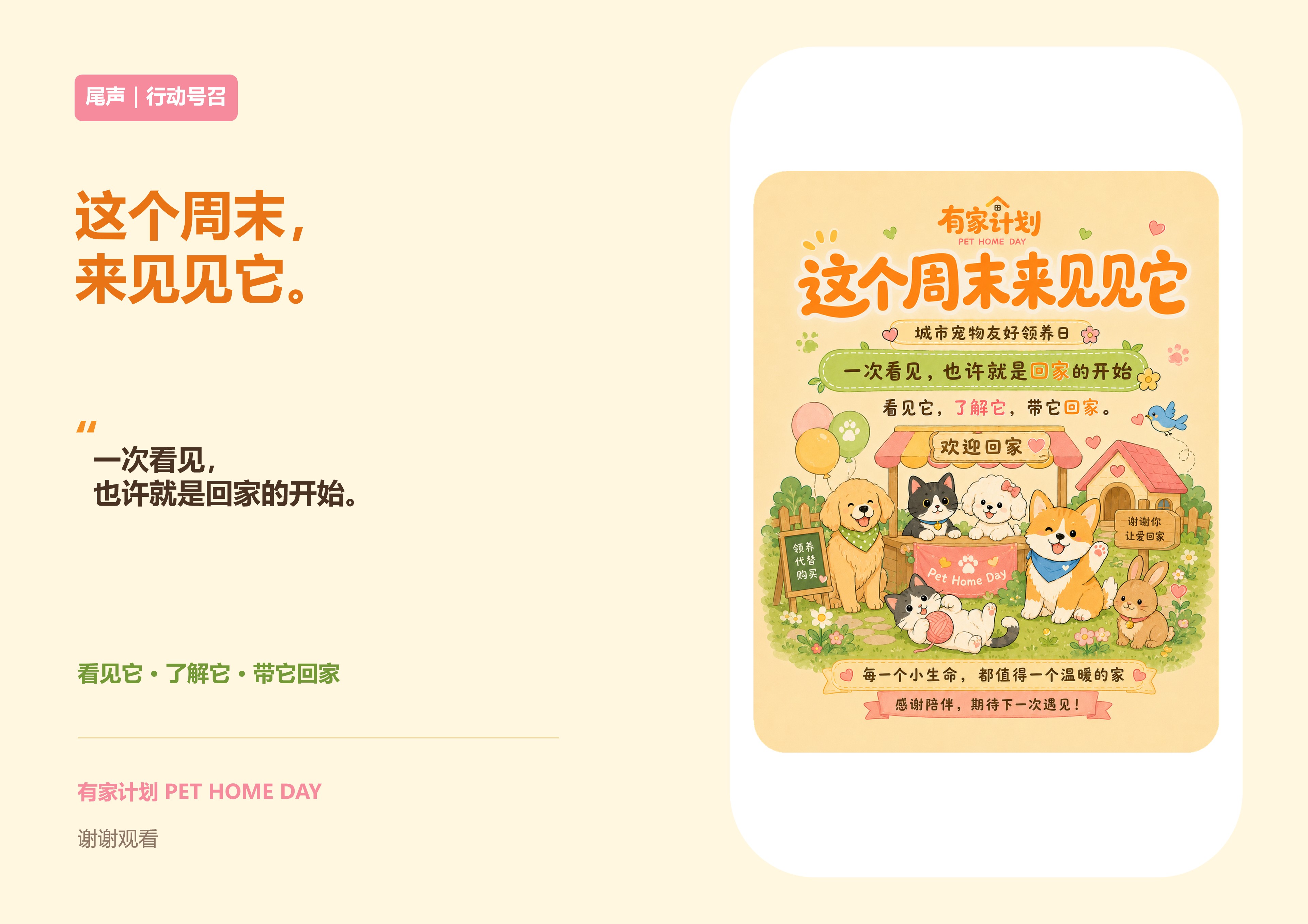 有家计划提报方案第13页