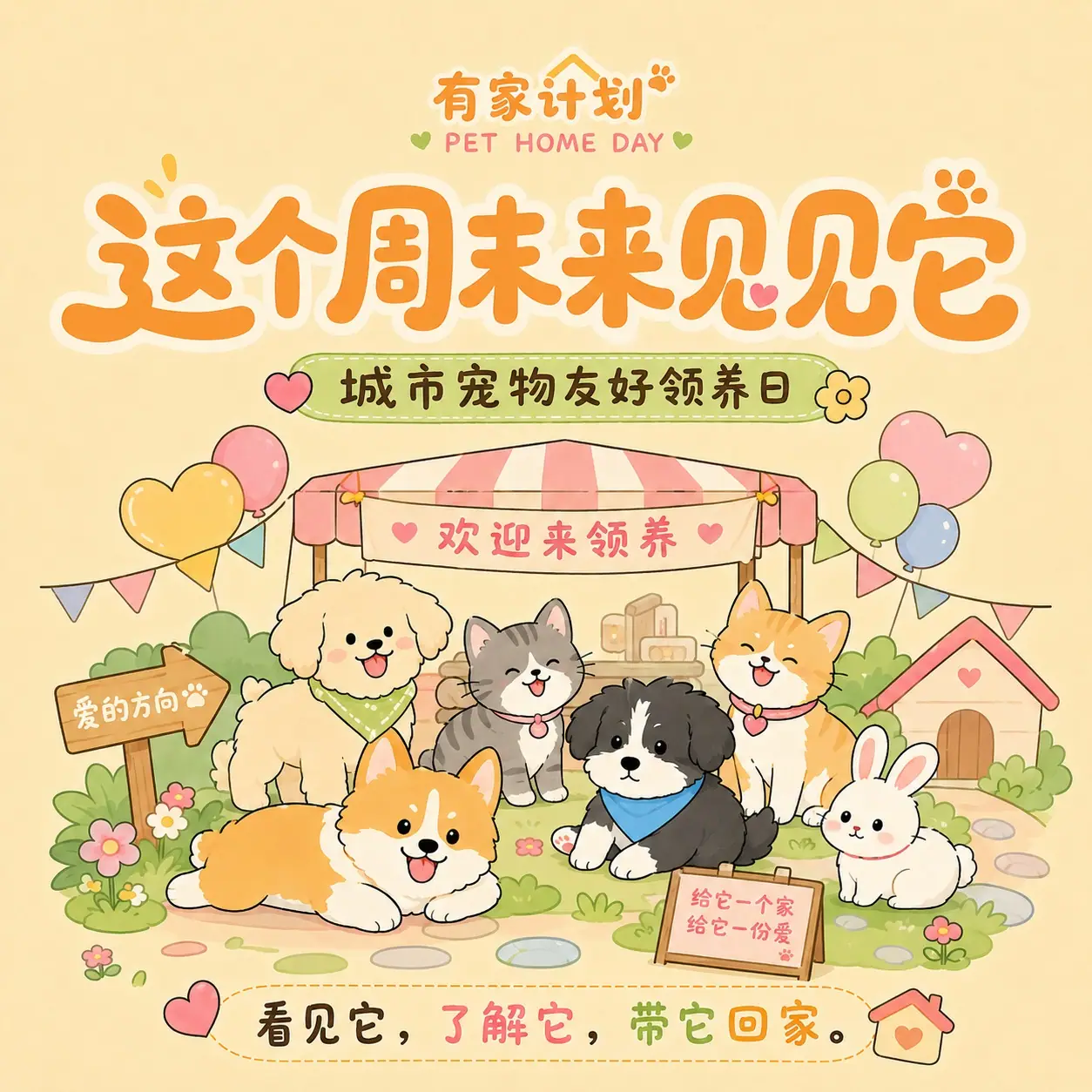 系列九图 09