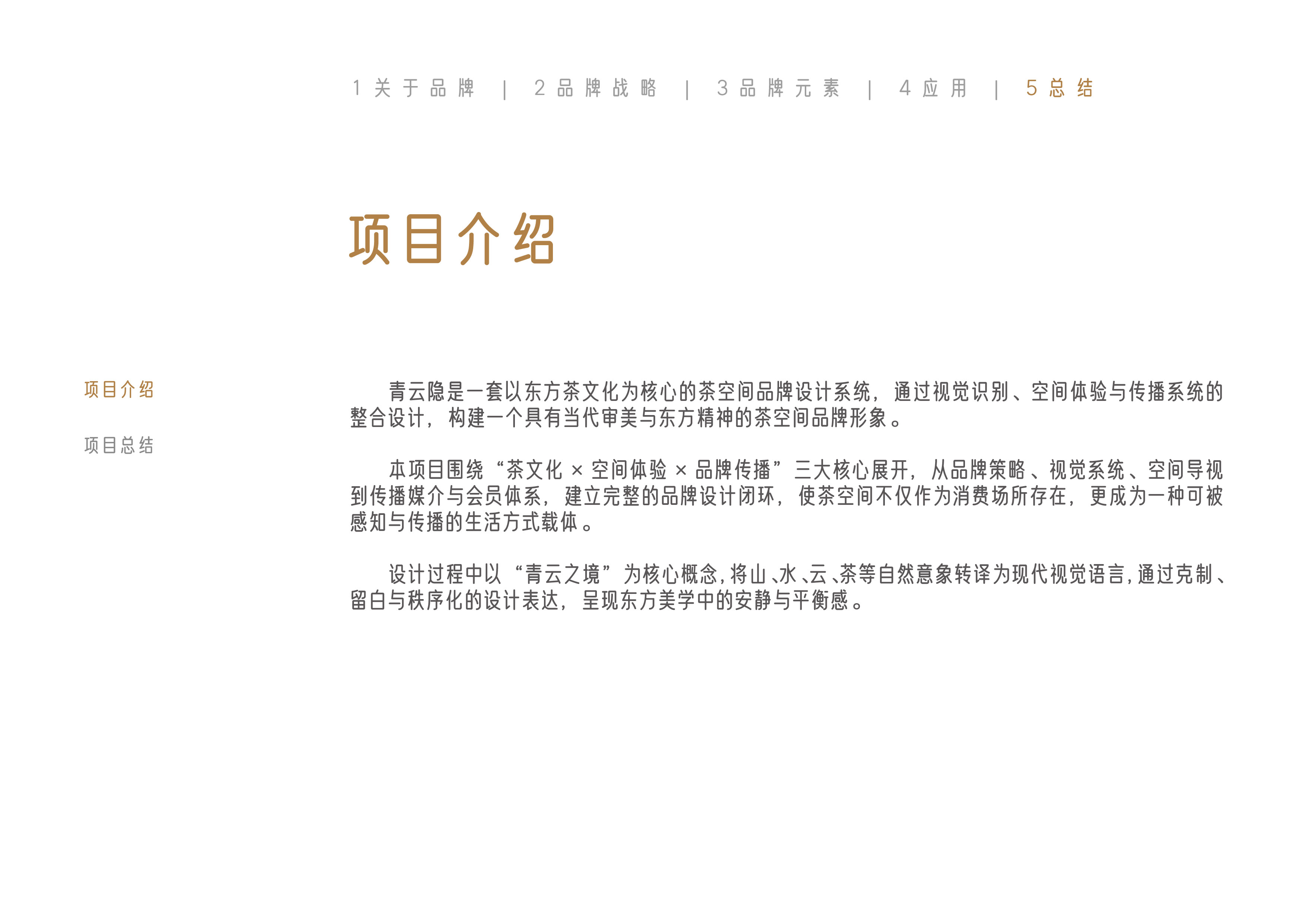 青云隐项目总结说明页
