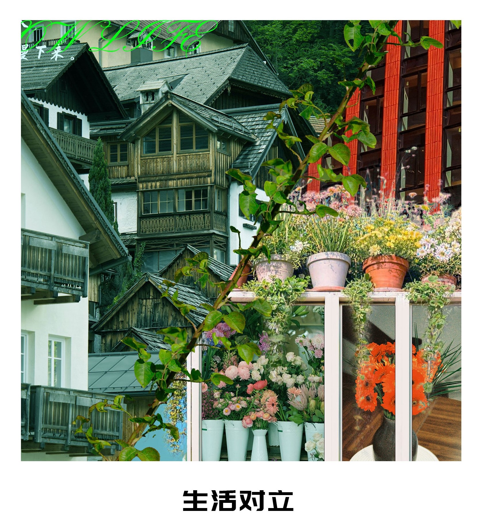 生活对立
