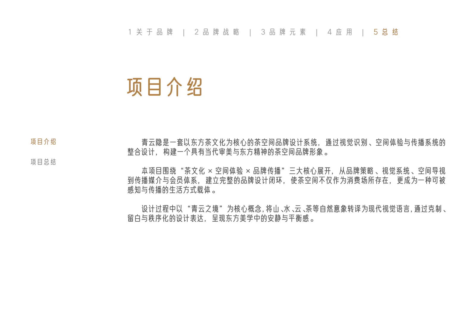 青云隐项目总结说明页